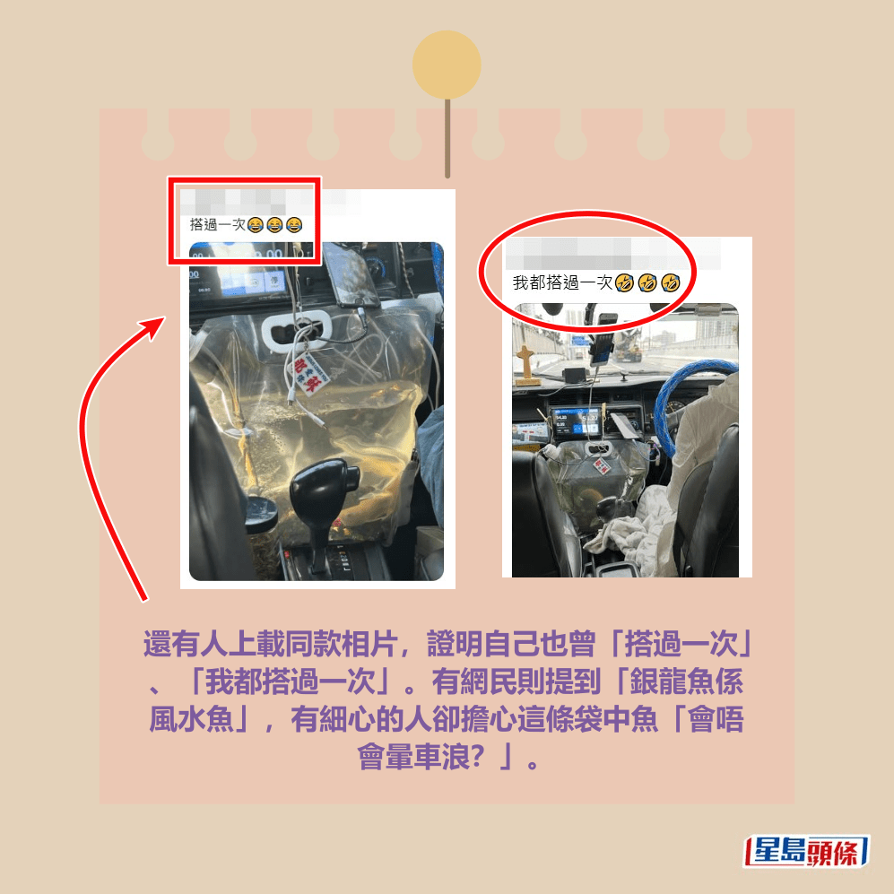 還有人上載同款相片，證明自己也曾「搭過一次」 、「我都搭過一次」。有網民則提到「銀龍魚係 風水魚」，有細心的人卻擔心這條袋中魚「會唔 會暈車浪？」。Threads截圖