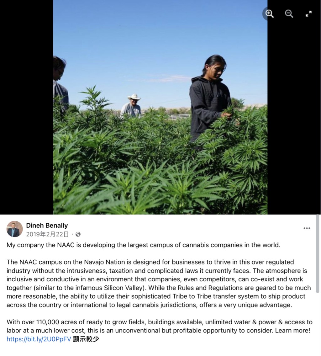 貝納利在facebook介紹他的大麻種植事業。