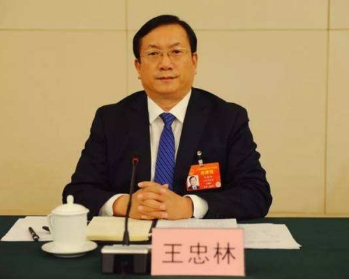 濟南市委書記王忠林接任馬國強,任武漢市委書記。(網圖)