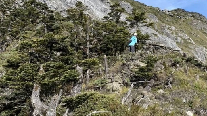 一名男子在台中无明山攀山时堕崖待救出。网上图片