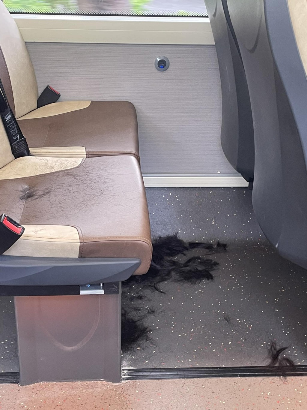 在巴士車廂的一排雙人座位及地下竟看到大量頭髮。
