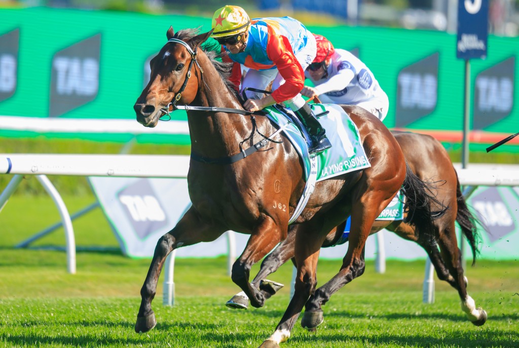 香港馬王「嘉應高昇」在潘頓胯下創下歷史。馬會提供 香港馬王「嘉應高昇」在潘頓胯下創下歷史。馬會提供
