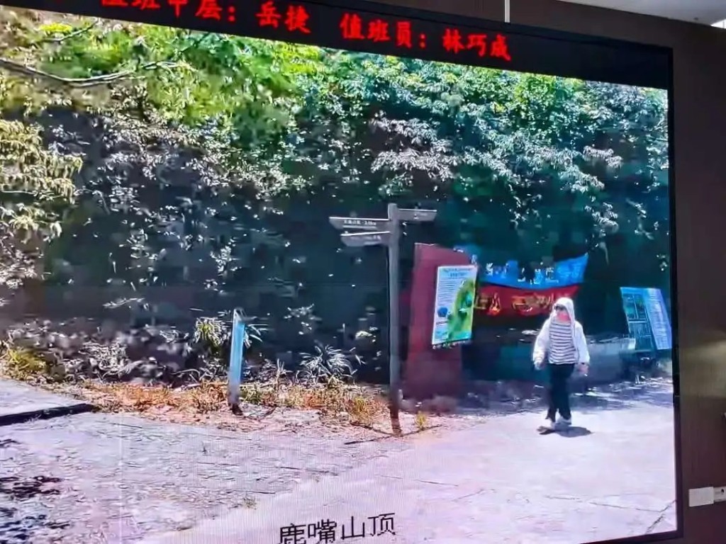 蔡磊兩個月前在深圳行山的最後蹤影。紅星新聞 蔡磊兩個月前在深圳行山的最後蹤影。紅星新聞