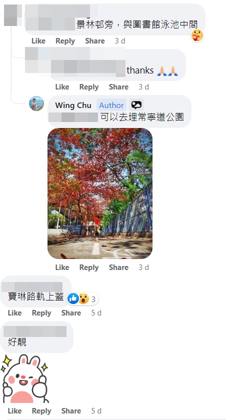 朱景榮建議網民順道到附近的常寧道公園賞紅葉。網上截圖