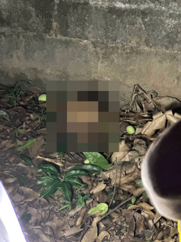 男子因承受巨大電流衝擊，頭部與身體當場分離並墜落地面，死狀極其恐怖。naewna.com截圖