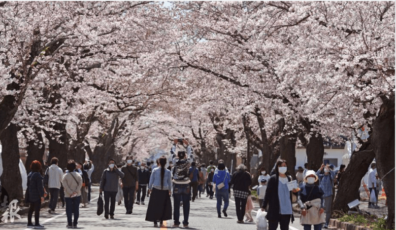日本生活环境优美，在许多人眼中是宜居城市。