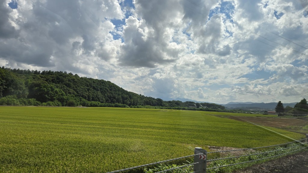 每天夏天,不少港人都到北海道赏花。读者朱先生提供 每天夏天,不少港人都到北海道赏花。读者朱先生提供