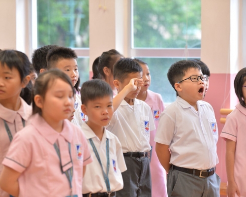 家長可向子女就讀的幼稚園或幼稚園暨幼兒中心索取「小一入學申請表」。