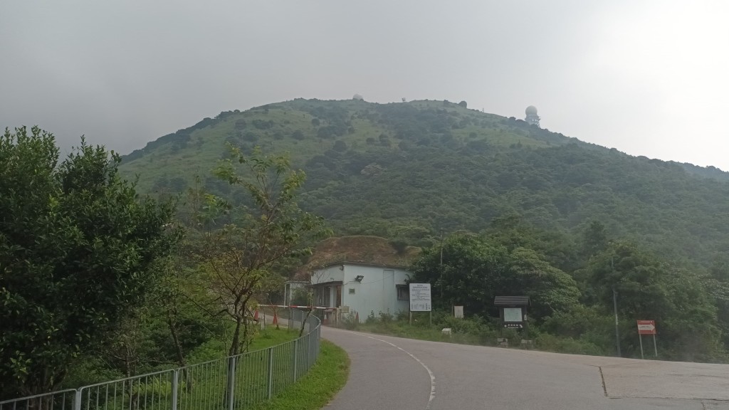 現場為大帽山郊野公園。