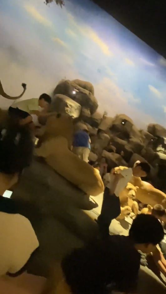 上海自然博物館有展台被熊孩子集體闖入。抖音