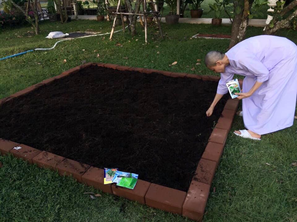 西拉米在寺院念經種菜度日。網上圖片