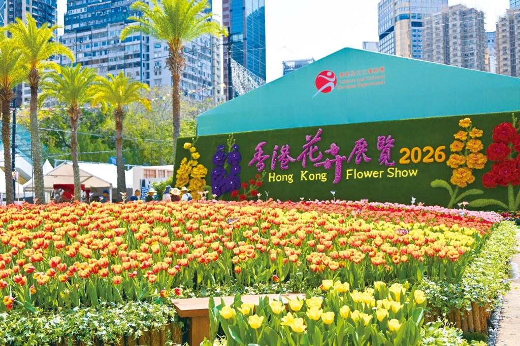 鬱金香花海+主題花花牆 鬱金香花海+主題花花牆