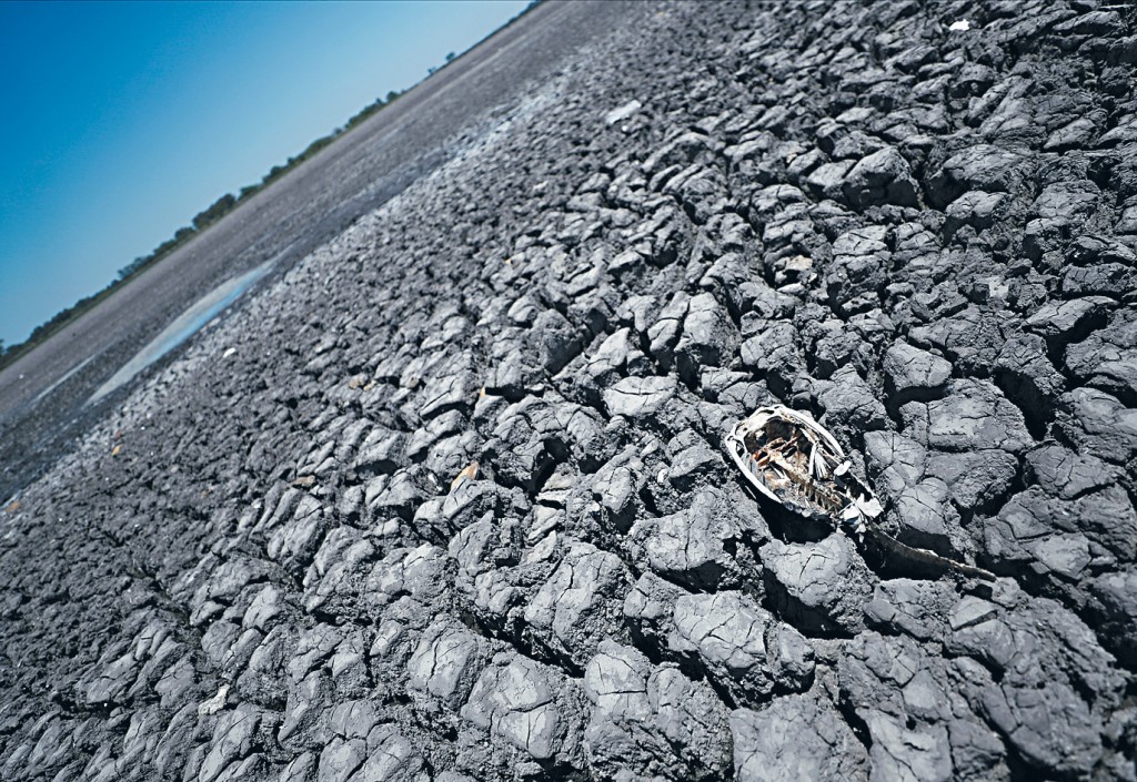 「机率模型框架」分析结果显示，气旋群集热点转移，似乎受到一种类似拉尼娜的全球暖化模式所驱动。