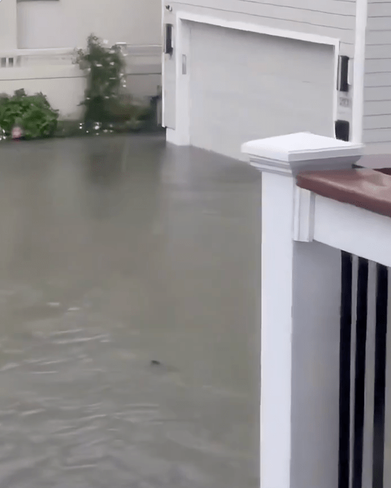专家相信，风暴潮把巴尼加特湾海水推入瑟夫市，鲨鱼亦随水流被带到原本干涸的街道。X@pisklauren