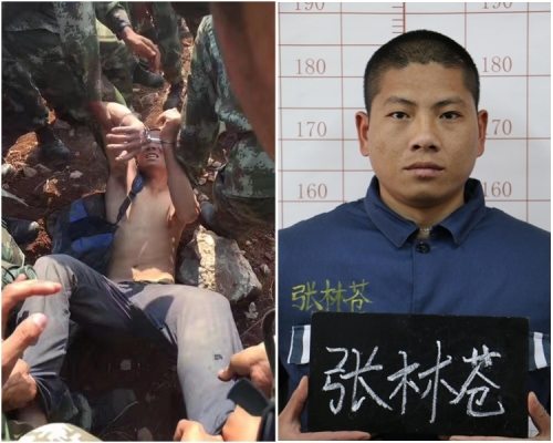 經過「亡命天涯8天」的雲南越獄販張林蒼，今日在昆明市嵩明縣落網。