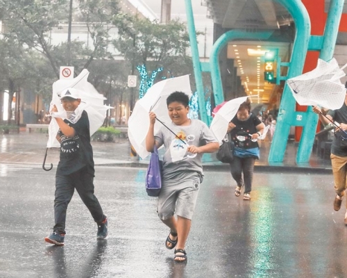 台灣明日或發出海上颱風警報。網上圖片