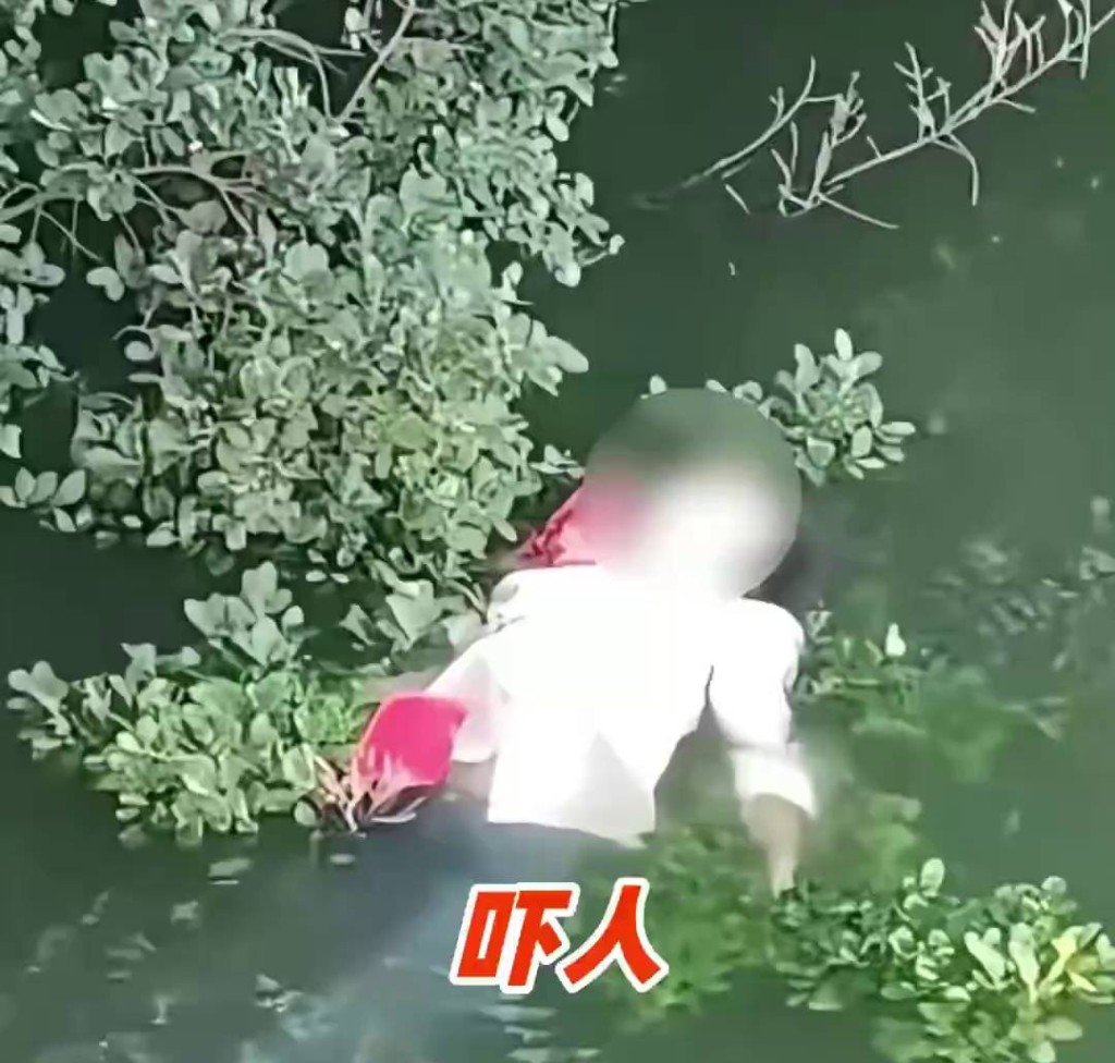 女子躺海南海口人民公園水面漂浮，引來路人圍觀。