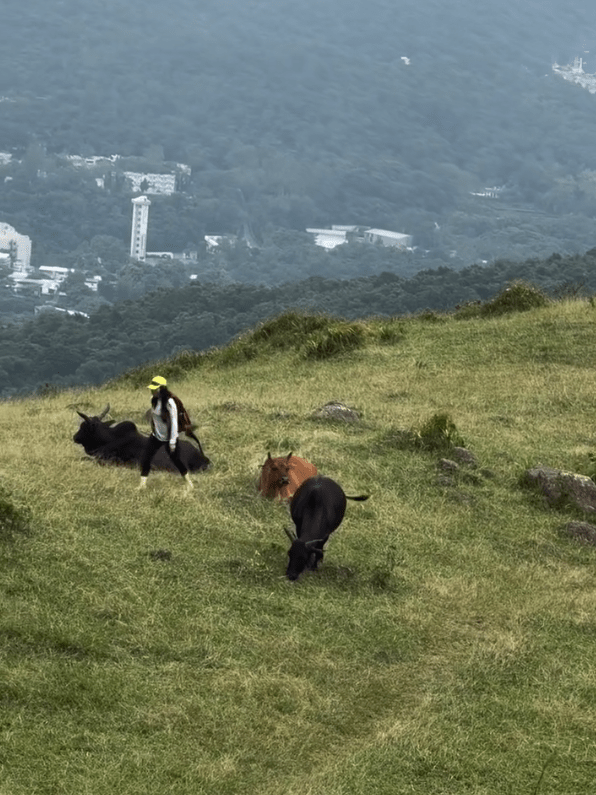 旁觀者喝止，兩男女悻悻然離去。Threads：wachaixchw