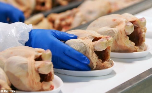 英國約八成的彎曲桿菌食物中毒病例來自受污染家禽。路透社