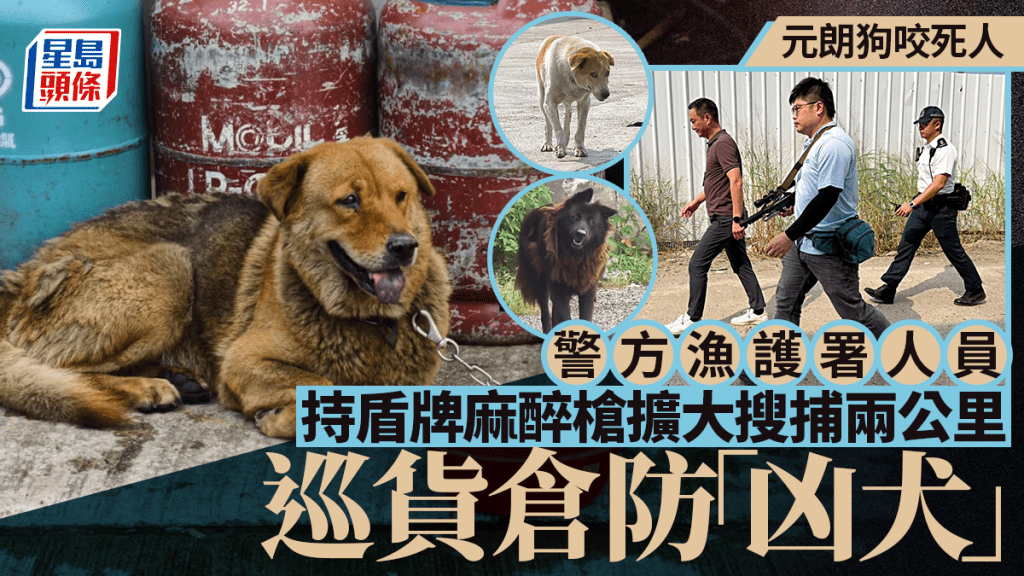 元朗狗咬死人｜警偕漁護持盾牌麻醉槍再出動 擴大搜捕兩公里巡貨倉防「凶犬」