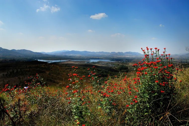 万紫千红生态养生旅游度假区（Trip.com图片）