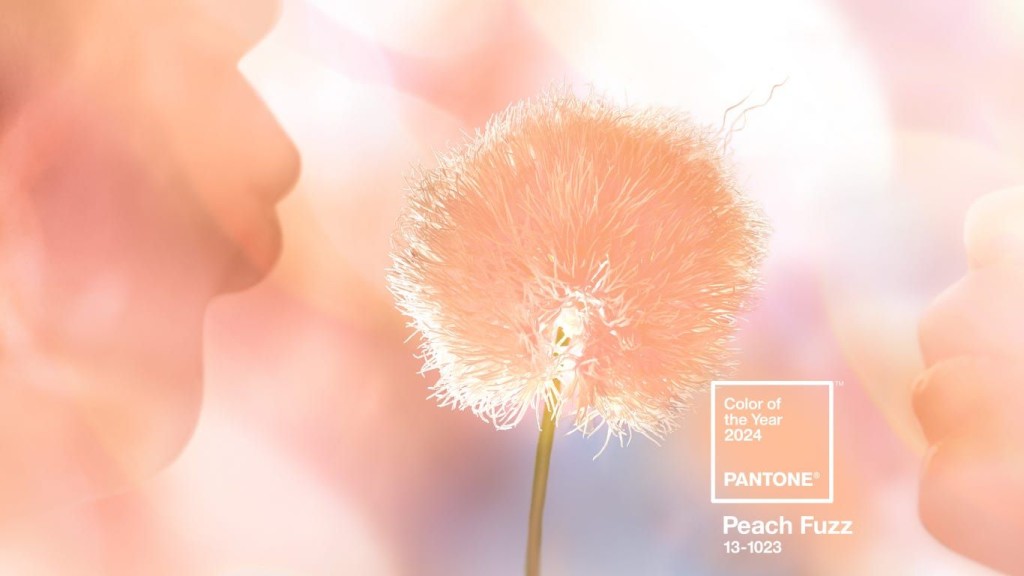 Pantone 2024年度代表色是Peach Fuzz。（图片提供：Pantone官网） 