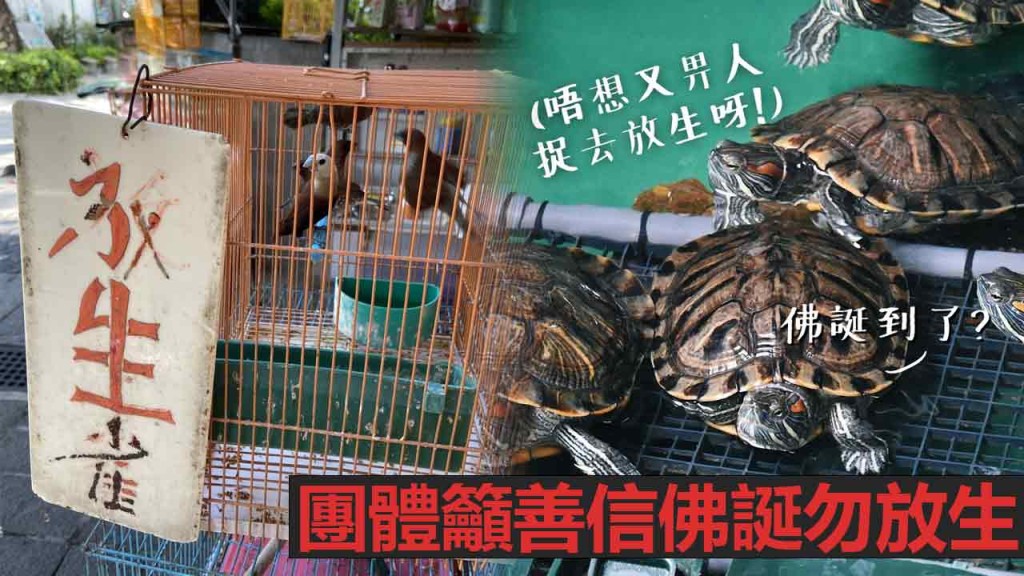 團體呼籲市民不要放生。網上圖片