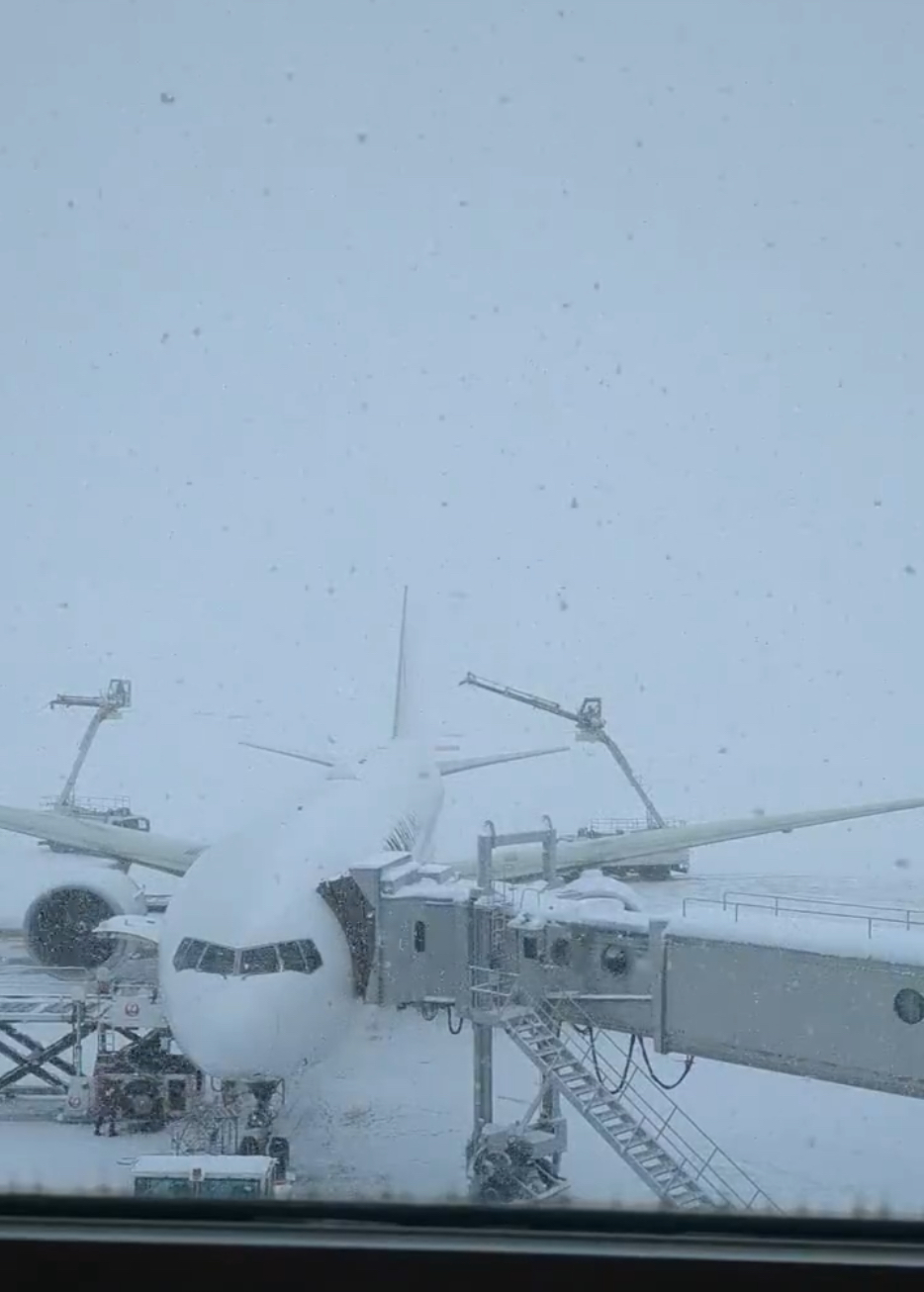 新千岁机场在大雪下维持运作，网页显示部分航班延迟。 X