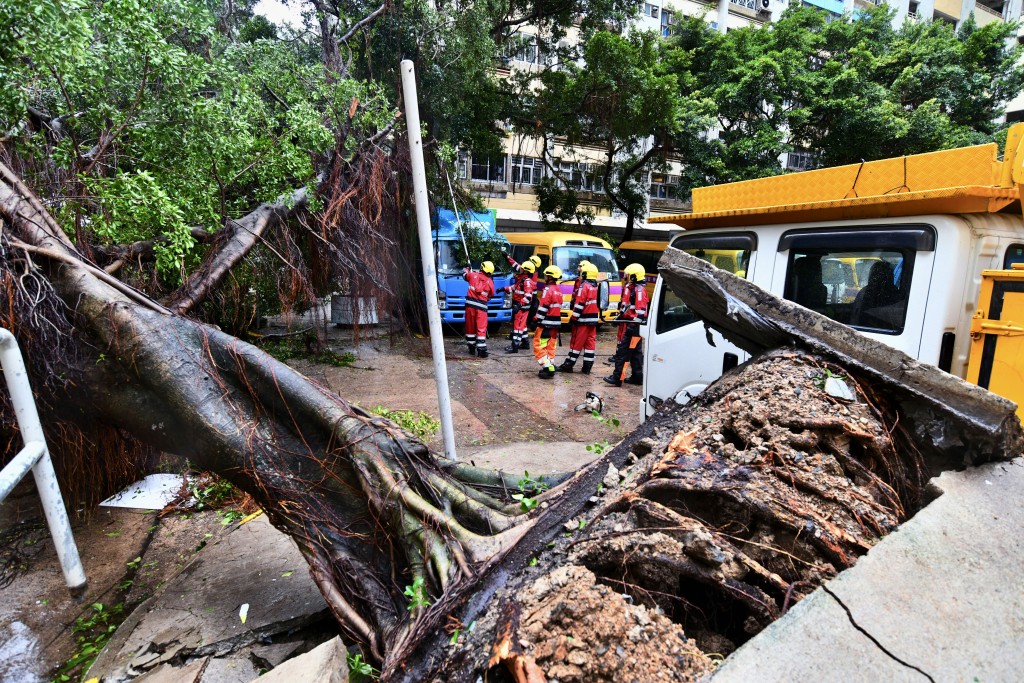 天文台指，熱帶氣旋生成位置偏東延長吸熱時間，增加發展成超強颱風機會。