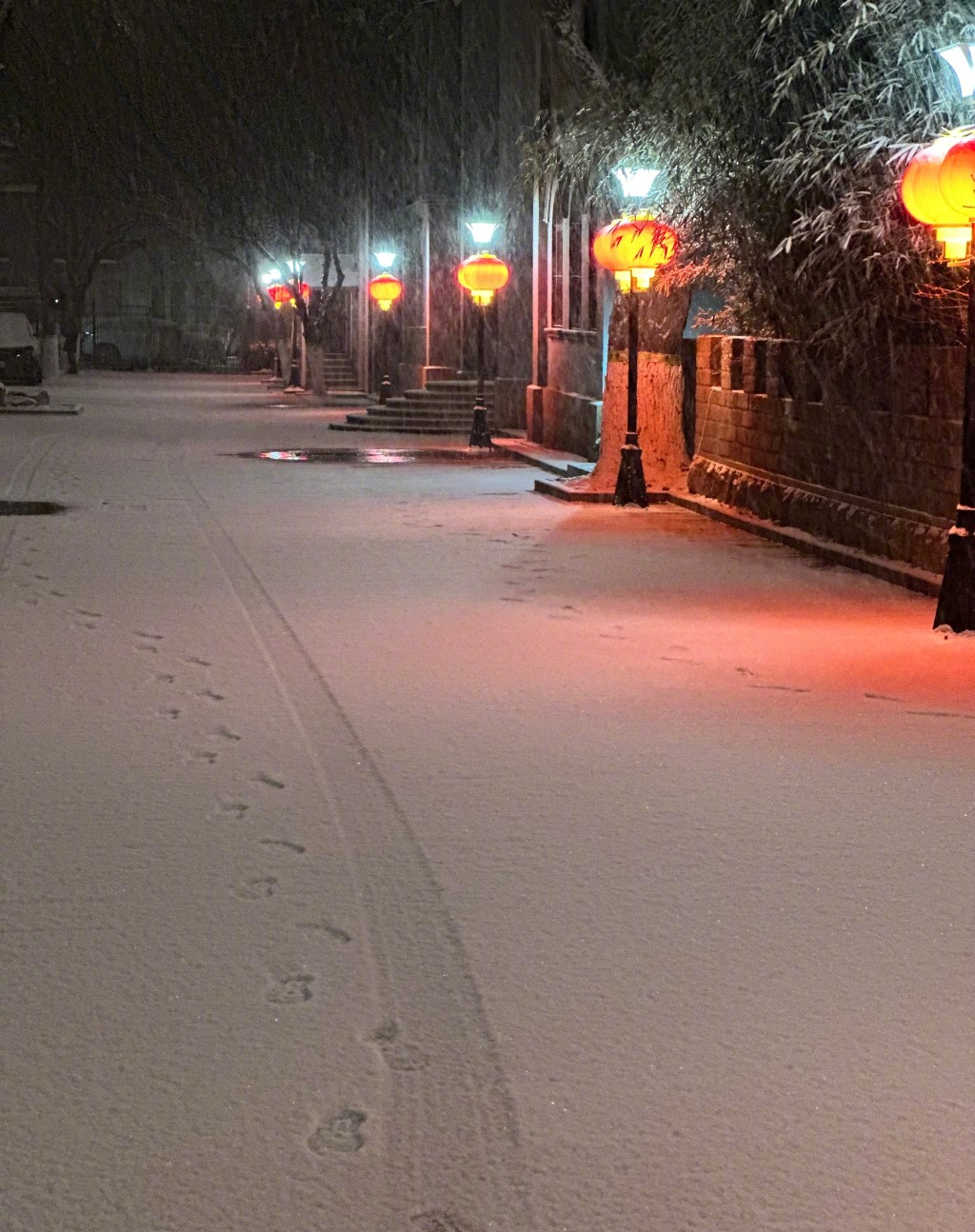 地下有一层薄薄积雪。（新华社）