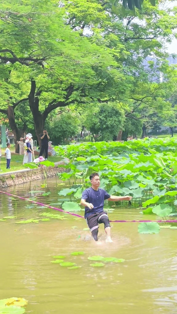 洪湖公園荷花賞引入「水上扁擔」，國內頂級水上特技首度亮相深圳。 抖音