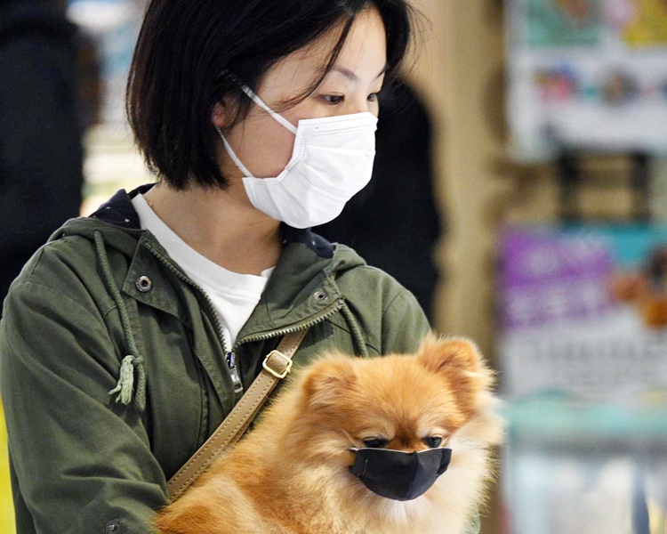 本港連續14日沒有新增本地感染個案。資料圖片