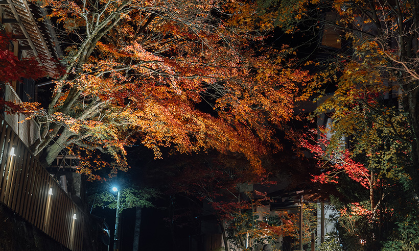 貴船神社的紅葉景致，予人夢幻氛圍。
