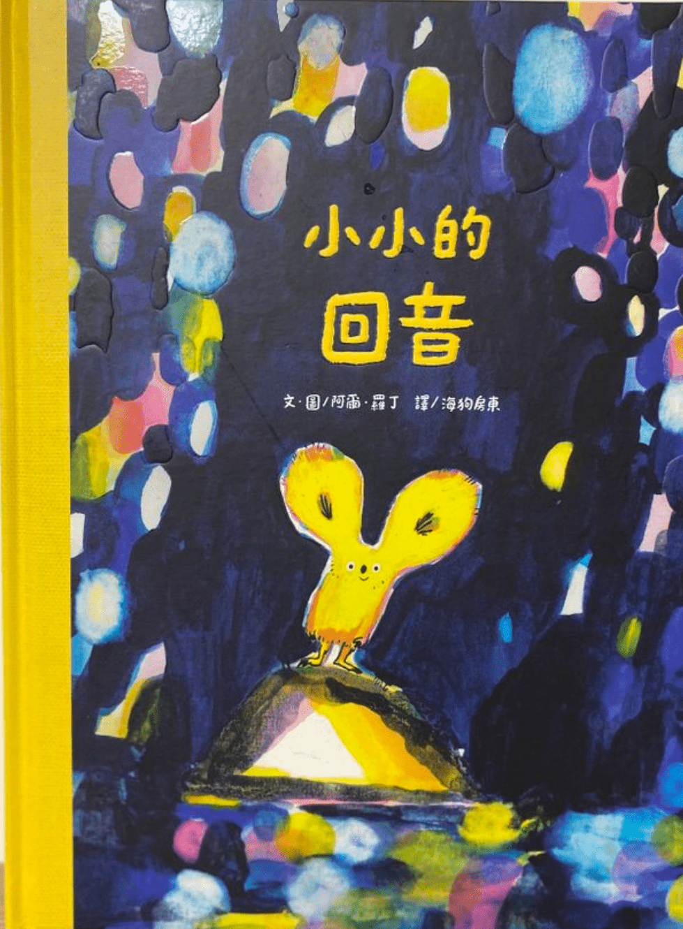 《小小的回音》（圖片來源：受訪者提供）