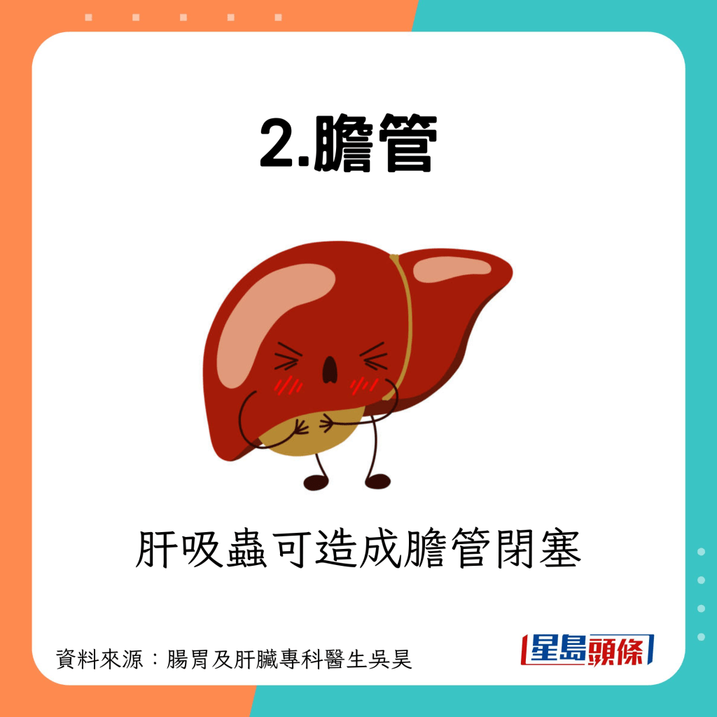 2.胆管：胆管闭塞
