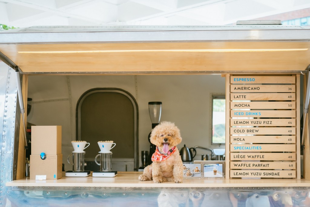 Blue Bottle Coffee於沙田新城市廣場「兒童及寵物同樂園」設為期3個月的限定戶外咖啡店。