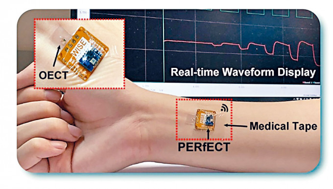 港大研發名為PERfECT的微型可穿戴生物電子傳感器。