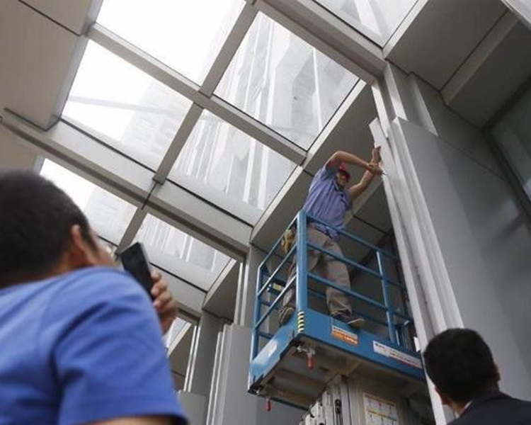 兩隻小貓被困在柱子裡,終被救出由有心人收養。