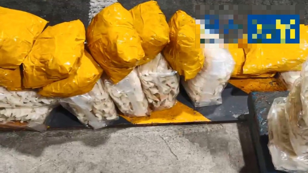 深圳灣口岸一輛貨車以運五金配件作掩飾，於車內暗格藏46KG燕窩干鮑。
