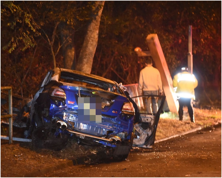 私家車撞柱後再撞樹。