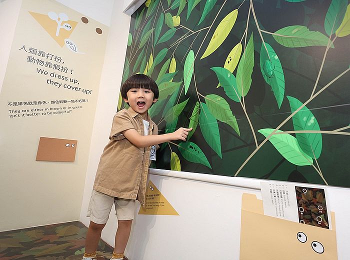 展區二︰人類靠打扮,動物靠假扮!