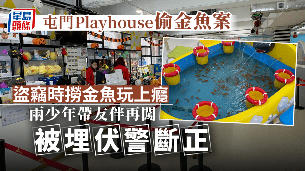 屯門有青少年涉嫌闖入建生商場一間Playhouse竊款,並盜走10條金魚。劉漢權攝