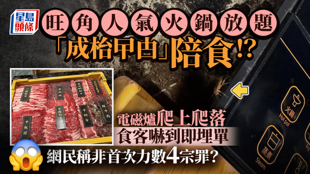 旺角恐怖潮汕火鍋!食客投訴「成枱曱甴」食唔落 網民稱非首次力數4宗罪:上次連啲醬料都有!
