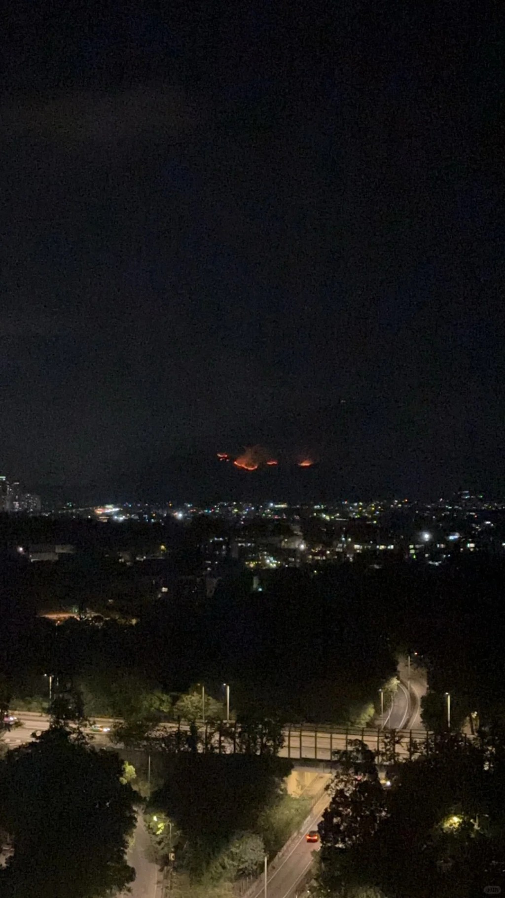 元朗掌牛山發生山火。網上圖片