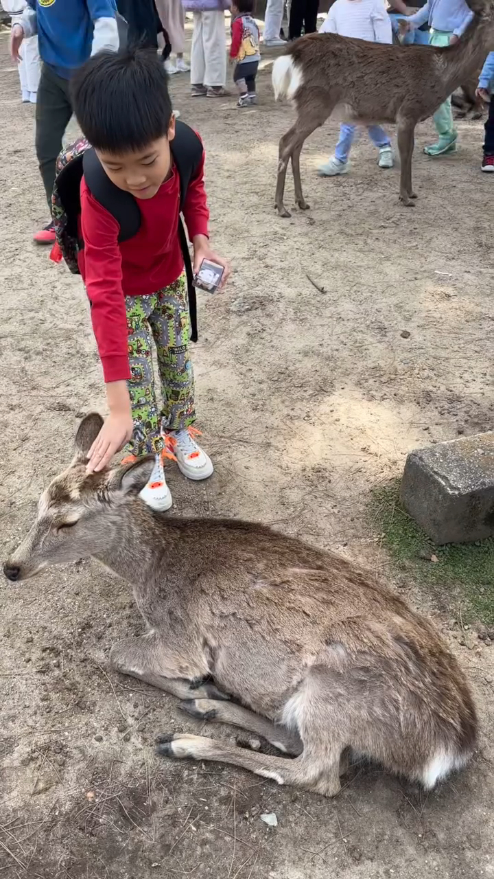 翁嘉穗早前帶Kaspar去日本睇鹿。