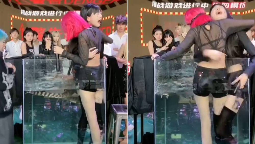 千萬網紅逼主播「餵鱷魚」。