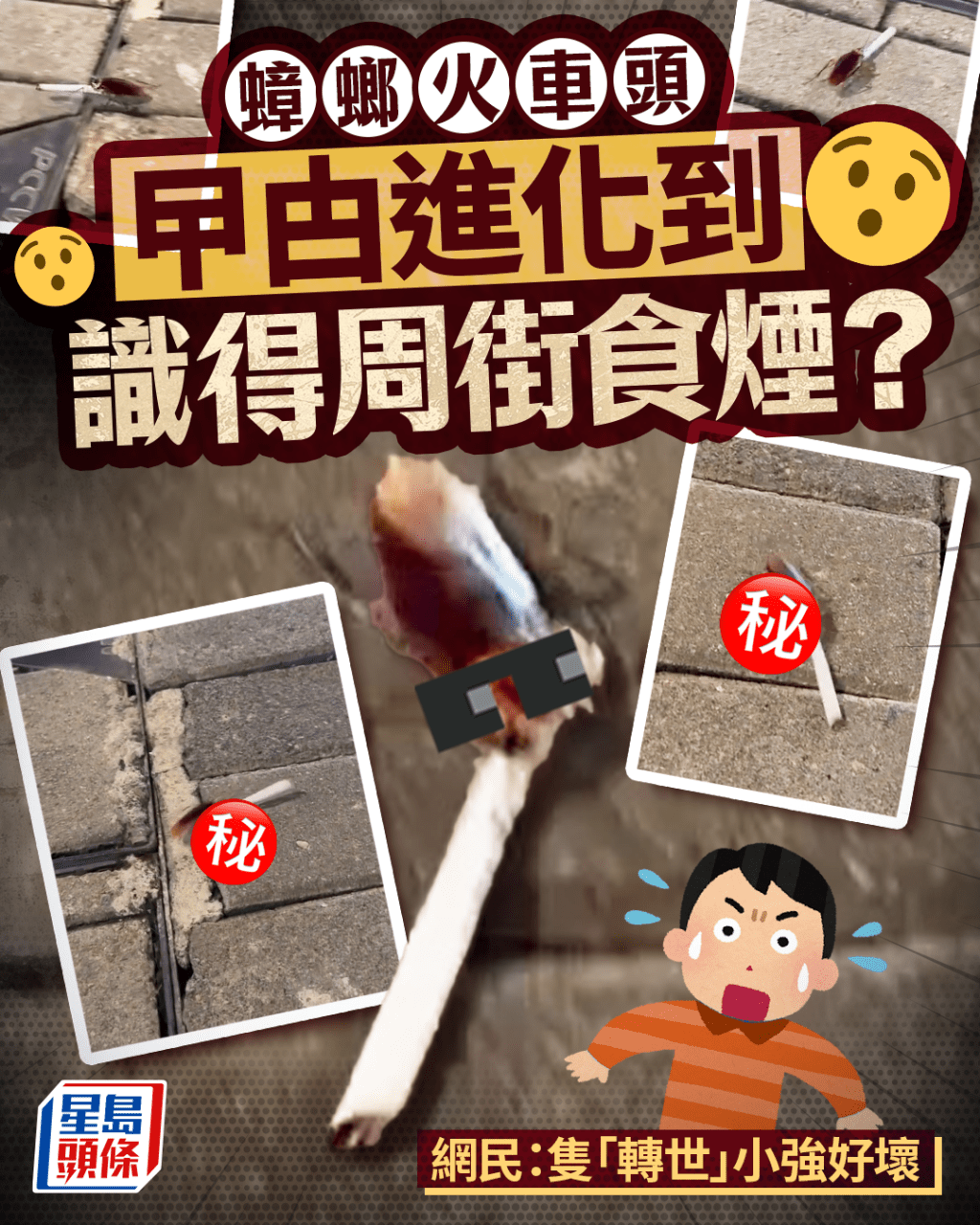 曱甴進化到識得周街食煙? 蟑螂火車頭 網民:隻「轉世」小強好壞 曱甴進化到識得周街食煙? 蟑螂火車頭 網民:隻「轉世」小強好壞