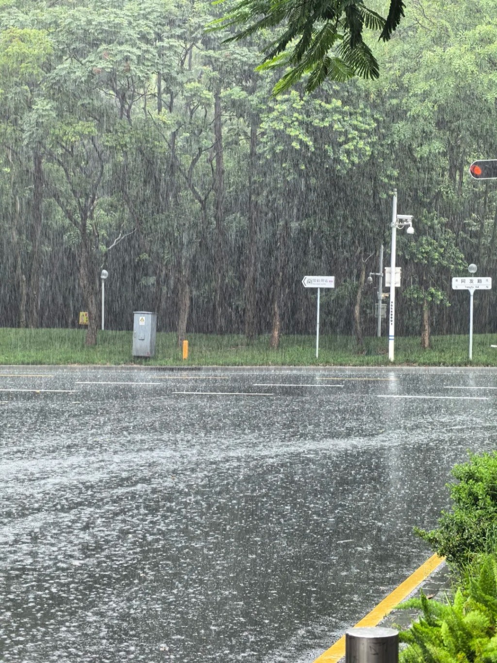 「深圳天气」指，中山珠海及香港分别有降雨云团，中午起会进一步影响深圳。小红书