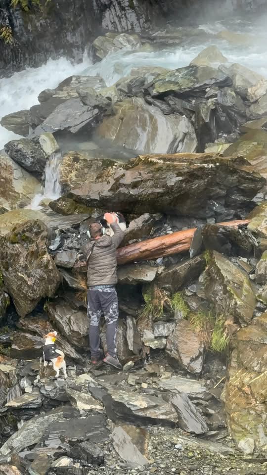 救援人員小心翼翼靠近莫莉（Molly）。 Precision Helicopters