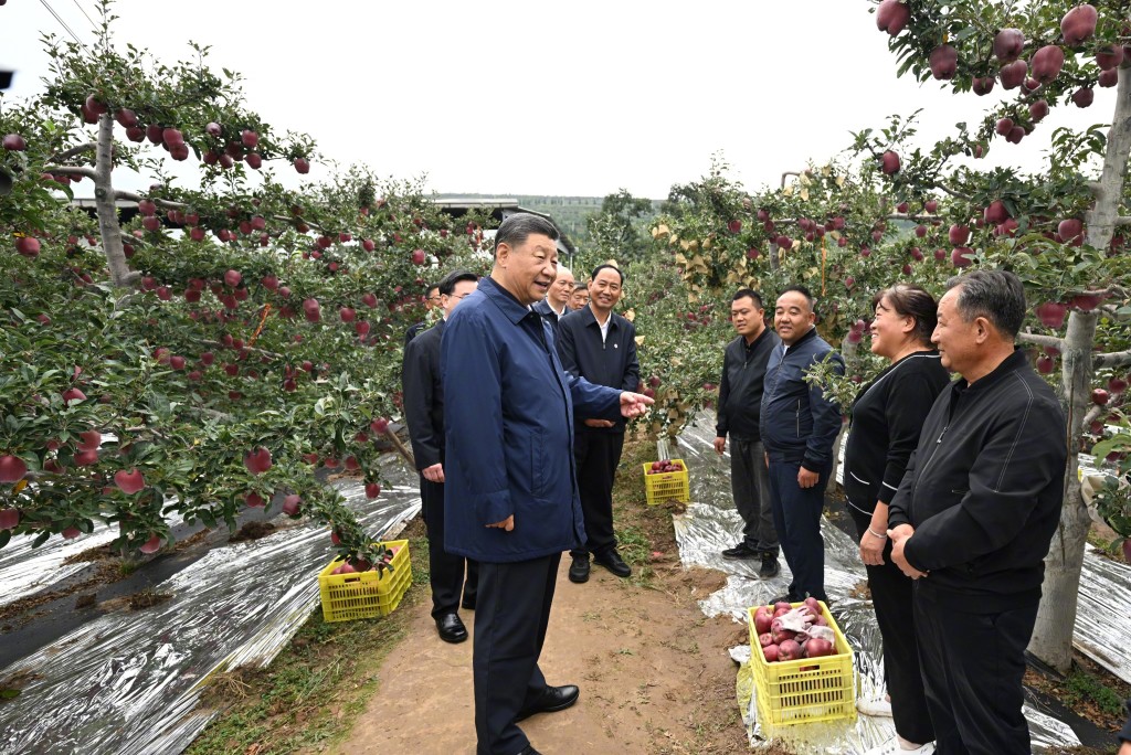 习近平在陕西宝鸡市和甘肃天水市考察调研。（新华社）